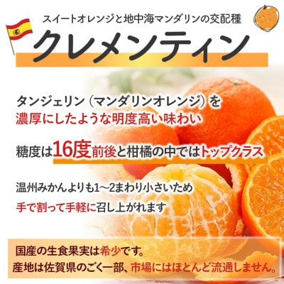 山本農園のクレメンティン 約3kg(太良町)【L41×2】
