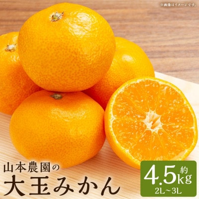 山本農園の大玉みかん 約4.5kg(太良町)【L14×1】