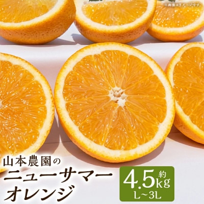山本農園のニューサマーオレンジ(初夏の味) 約4.5kg(太良町)【N128×2】