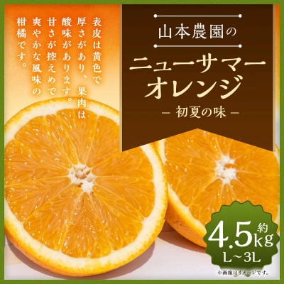 山本農園のニューサマーオレンジ(初夏の味) 約4.5kg(太良町)【N128×2】