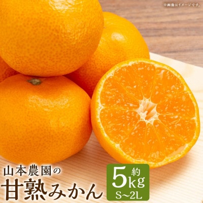 山本農園の甘熟みかん 約5kg(太良町)【L13×1】