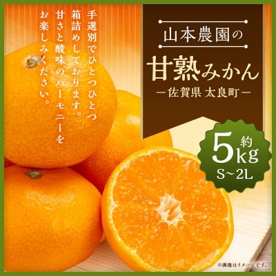 山本農園の甘熟みかん 約5kg(太良町)【L13×1】