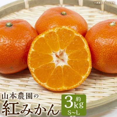 山本農園の紅みかん 約3kg(太良町)【L68×1】