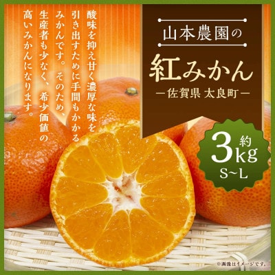 山本農園の紅みかん 約3kg(太良町)【L68×1】