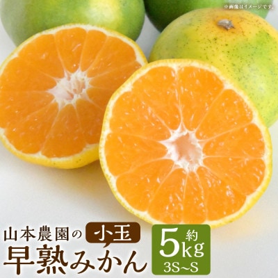 山本農園の小玉早熟みかん 約5kg(太良町)【L71×1】