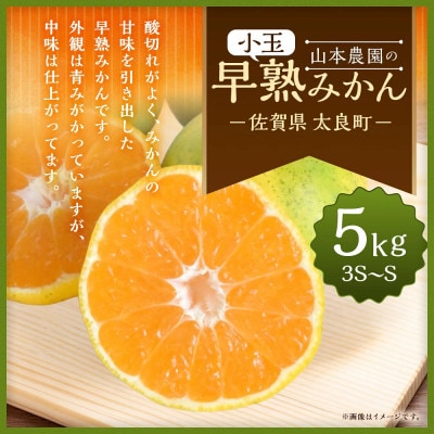 山本農園の小玉早熟みかん 約5kg(太良町)【L71×1】