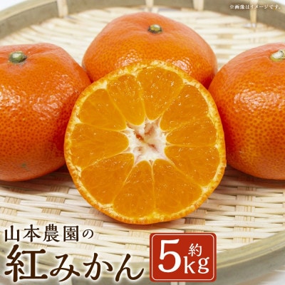 山本農園の紅みかん 約5kg(太良町)【N112×1】