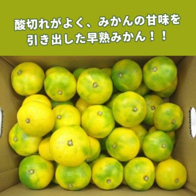 山本農園の早熟みかん 約5kg(太良町)【L70×1】