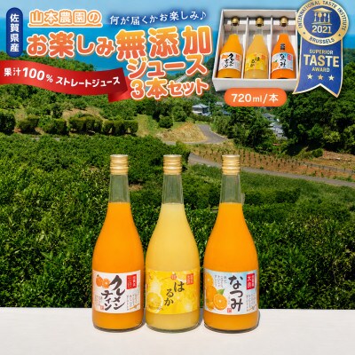 山本農園のお楽しみ無添加ジュース 3本セット(太良町)【N118×1】