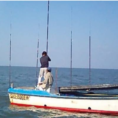 【2ヵ月毎定期便】佐賀県 有明海産一番摘み高級海苔 焼き海苔セット【SU1x1】全6回