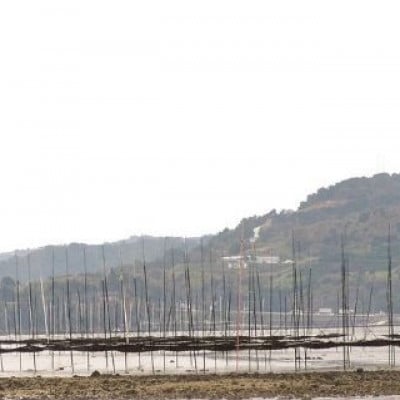 【2ヵ月毎定期便】佐賀県 有明海産一番摘み高級海苔 焼き海苔セット【SU1x1】全6回