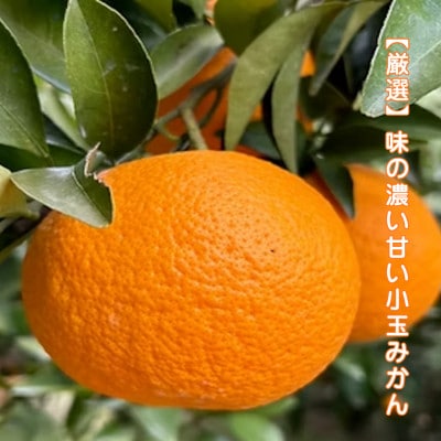 まちなが家族農園の小玉冷凍みかん　約500g【LA2】