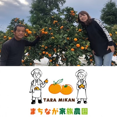 まちなが家族農園の小玉冷凍みかん　約500g【LA2】
