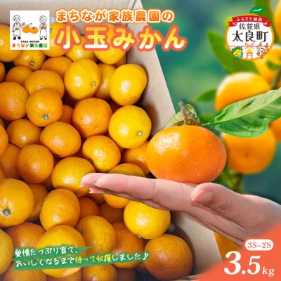 まちなが家族農園の小玉みかん 3.5kg【M119×1】