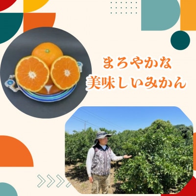 峰農園のゆたたりみかん(小玉) 5kg【LB15x1】