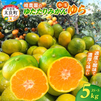 峰農園のゆたたりみかん【ゆら】小玉 5kg【LB5×1】