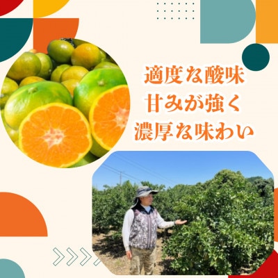 峰農園のゆたたりみかん【ゆら】小玉 5kg【LB5×1】