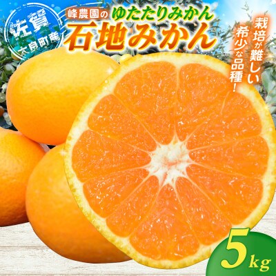 峰農園のゆたたりみかん【石地みかん】5kg【M87×1】