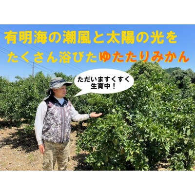峰農園のゆたたりみかん【石地みかん】5kg【M87×1】