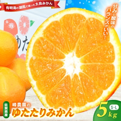 峰農園のゆたたりみかん 5kg【N253×1】