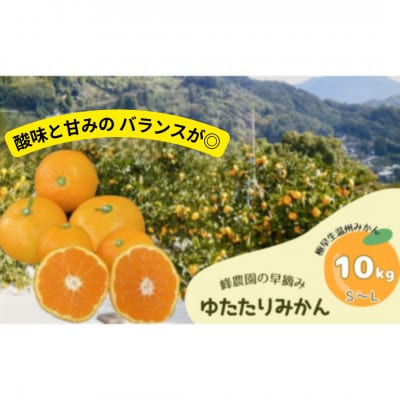 峰農園の早摘みゆたたりみかん 10kg 【NB13×1】