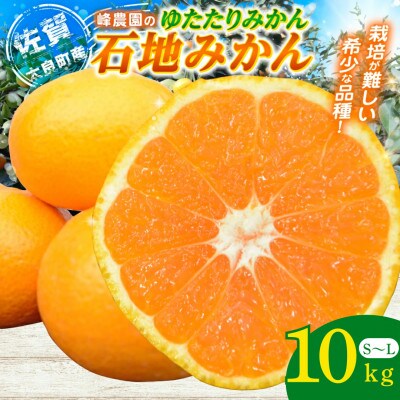 峰農園のゆたたりみかん【石地みかん】10kg【NB14×1】