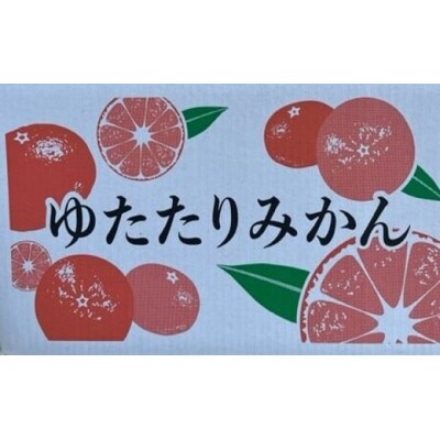 峰農園のゆたたりみかん【石地みかん】10kg【NB14×1】