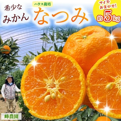 【先行予約】峰農園のハウスなつみ 約5kg (サイズおまかせ)【O165x2】