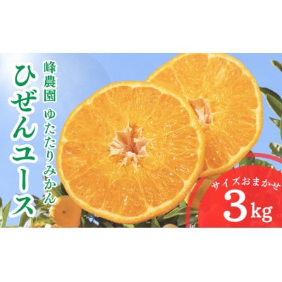 峰農園ゆたたりみかん ひぜんユース 3kg (サイズおまかせ)【OC10×1】