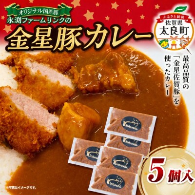 永渕ファームリンクの「金星佐賀豚」カレー(5個入り)【NB44×1】