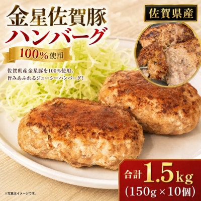 金星佐賀豚 ハンバーグ 150g×10個セット【OA6】
