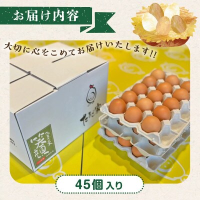 たまご家のハーブ卵(笑顔)45個【NB6】