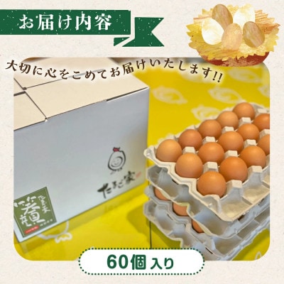 たまご家のハーブ卵(笑顔)60個【ND3】