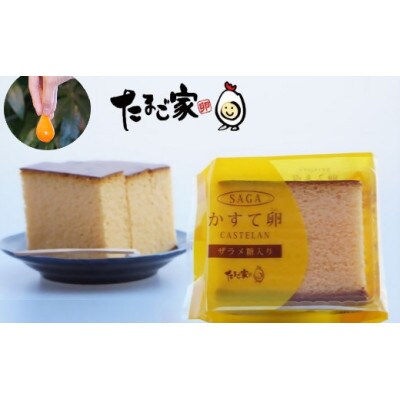 【たまご専門店】たまご家のカステラ「かすて卵」10個入り【N-249】