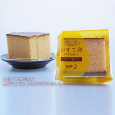 【たまご専門店】たまご家のカステラ「かすて卵」10個入り【N-249】