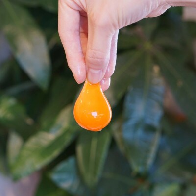 【たまご専門店】たまご家のカステラ「かすて卵」10個入り【N-249】