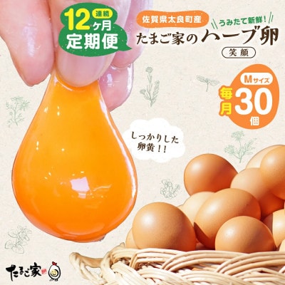 【毎月定期便】たまご家のハーブ卵(笑顔)30個【T26】全12回