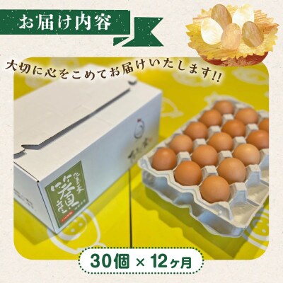 【毎月定期便】たまご家のハーブ卵(笑顔)30個【T26】全12回