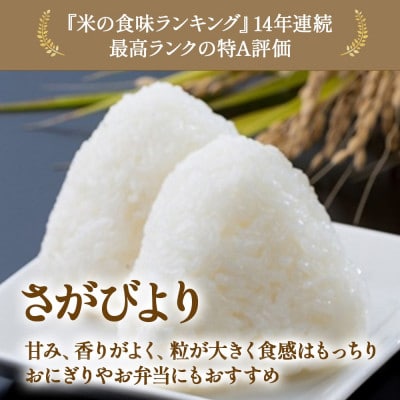 【先行予約】令和8年産 牟田農園のさがびより 5kg(5kg×1袋)精米【O184×1】(太良町)