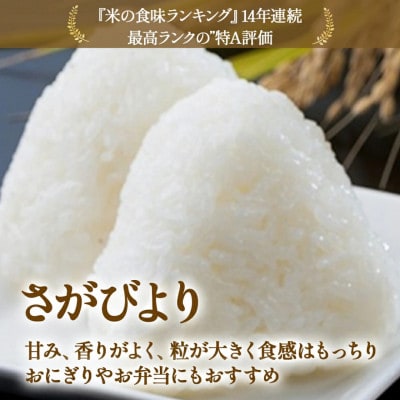 【先行予約】令和8年産 牟田農園のさがびより 10kg(5kg×2袋)精米【P114×2】(太良町)