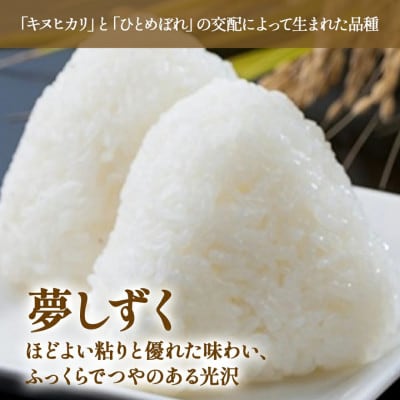【先行予約】令和8年産 牟田農園の夢しずく 5kg(5kg×1袋)精米【O185×1】(太良町)