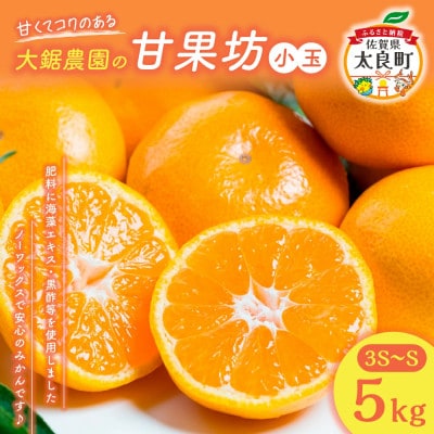 大鋸農園の甘果坊(小玉)5kg みかん【LB8×1】