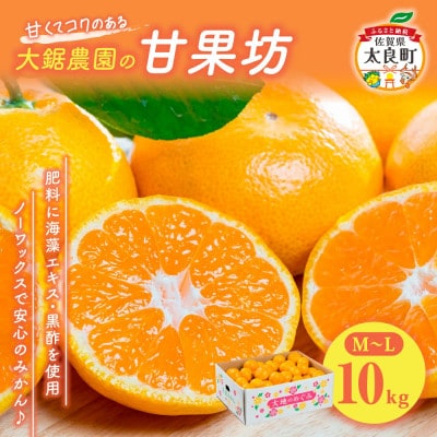 大鋸農園の甘果坊 10kg みかん【N44×1】