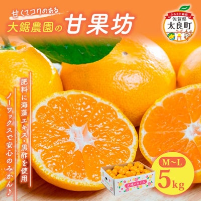 大鋸農園の甘果坊 5kg みかん【LB7×1】