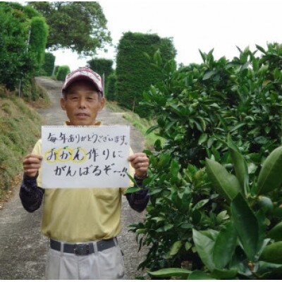 海藻ミネラル小玉みかん 5kg【L21×1】