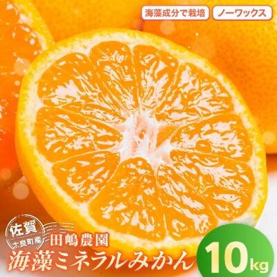 海藻ミネラルみかん 10kg【N40×1】