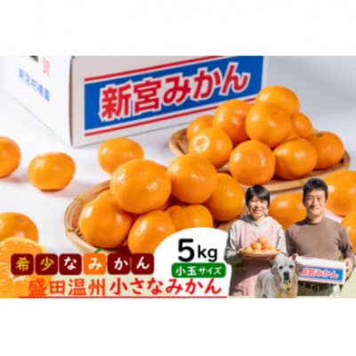 【12月上旬より順次発送】新宮みかん園 希少な盛田温州の小さなみかん5kg 【L141×1】