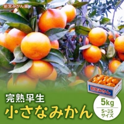 【10月中旬より順次発送】完熟早生小さなみかん 5kg (S～3Sサイズ) (太良町)【L53×1】