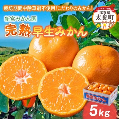 【10月中旬より順次発送】新宮みかん園 完熟早生みかん 5kg (S～L) (太良町)【L54×1】