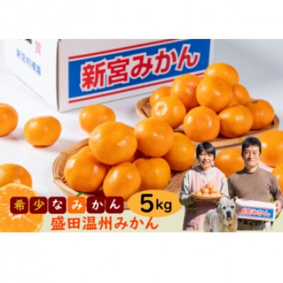 【12月上旬より順次発送】新宮みかん園希少な盛田温州みかん 5kg(S～L) 【M73×1】